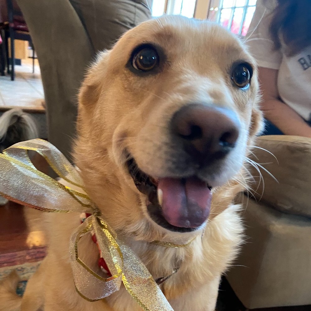 Meet your Posher, Kirsten